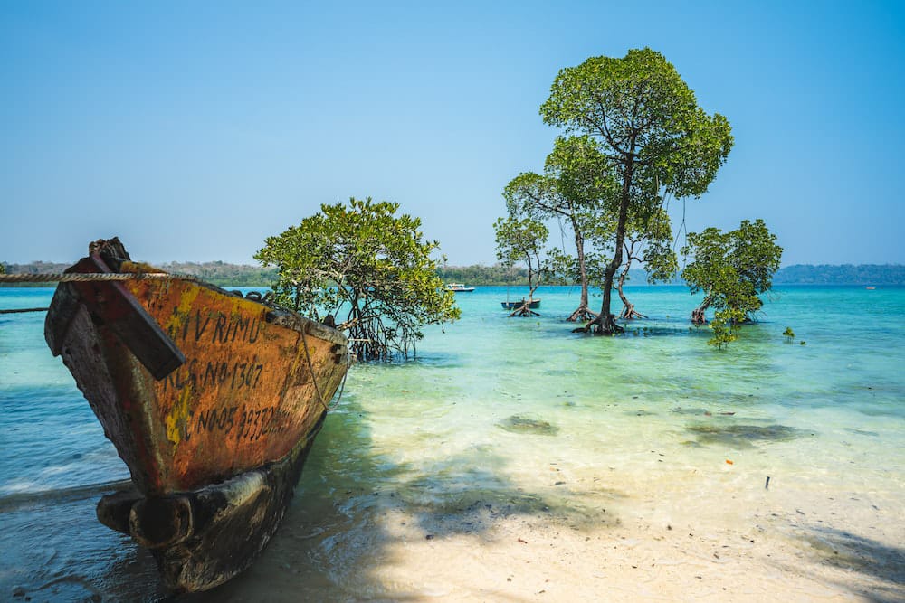 Book Andaman Corporate Tour Package 7Nights 8Days