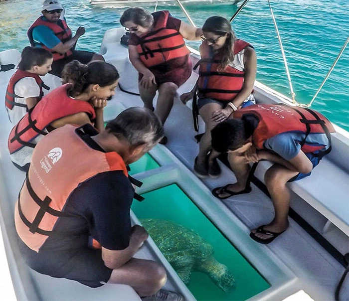 Glass Bottom Boat Ride Andaman