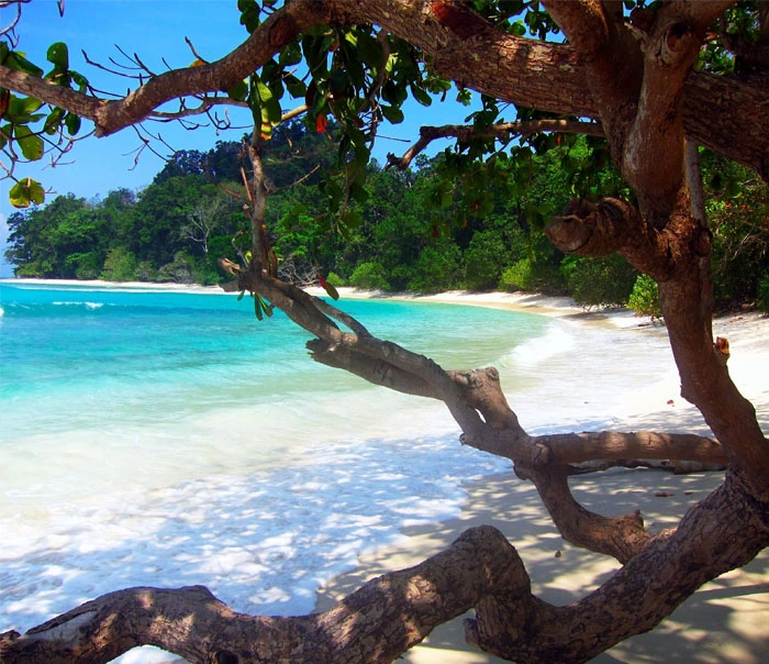 Kalapathar Beach Havelock