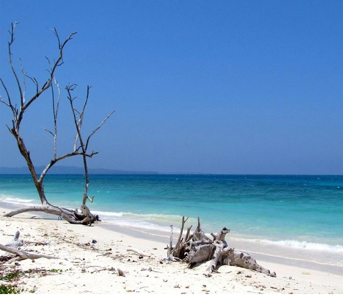 Beaches in Havelock Island Swaraj Dweep