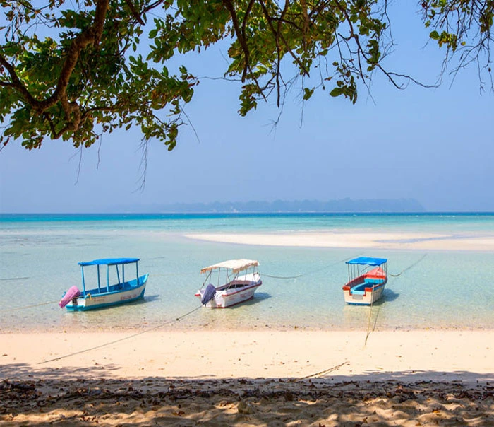 Bharatpur Beach Neil Island Shaheed Dweep