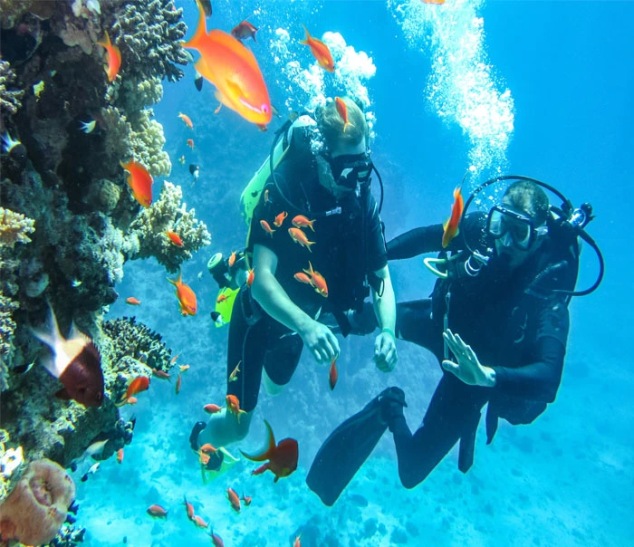 Scuba Diving in Andaman