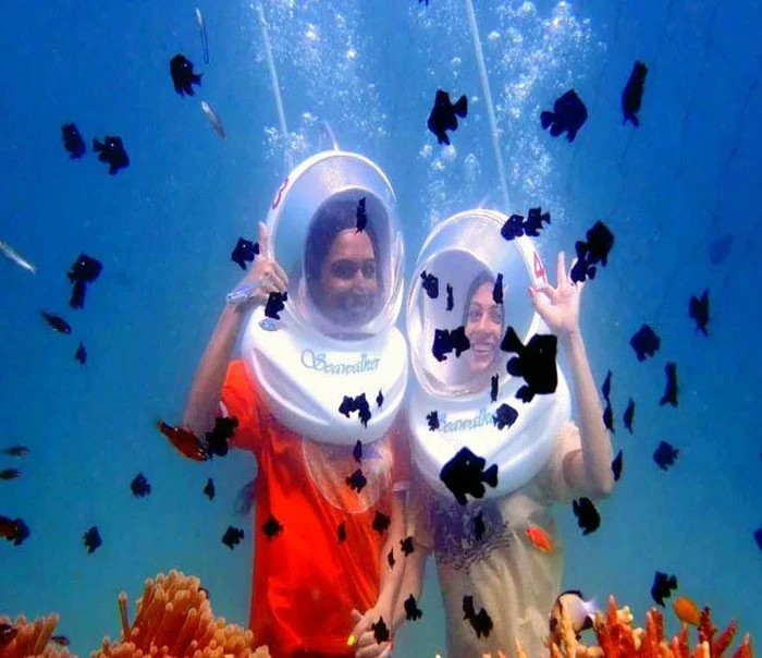 Underwater Sea Walk at Elephant Beach