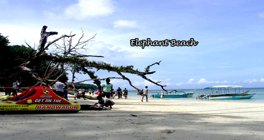 Elephant Beach