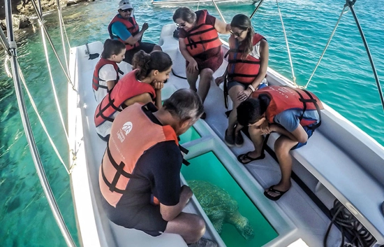 Glass Bottom Boat Ride